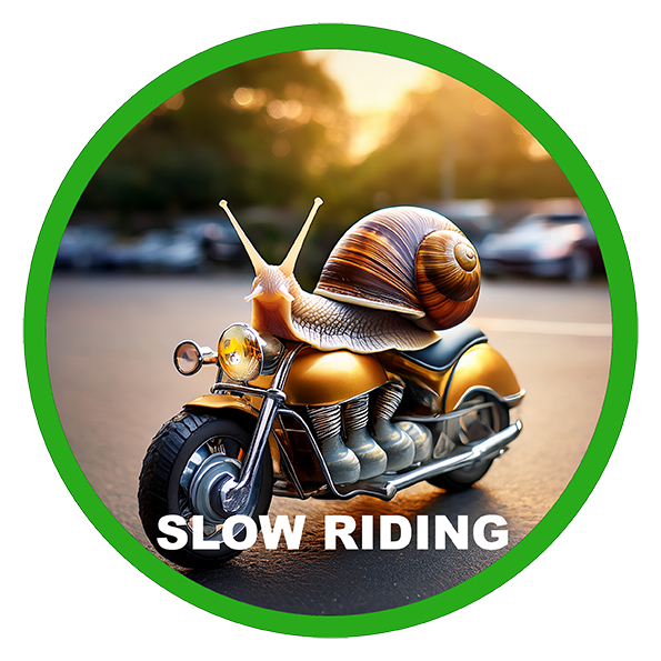 Slow Riding